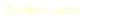 Cowboy night